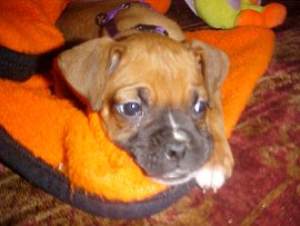 Mindy