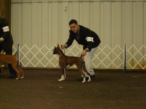mine and z's first show