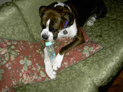 Mine Mine Mine!!