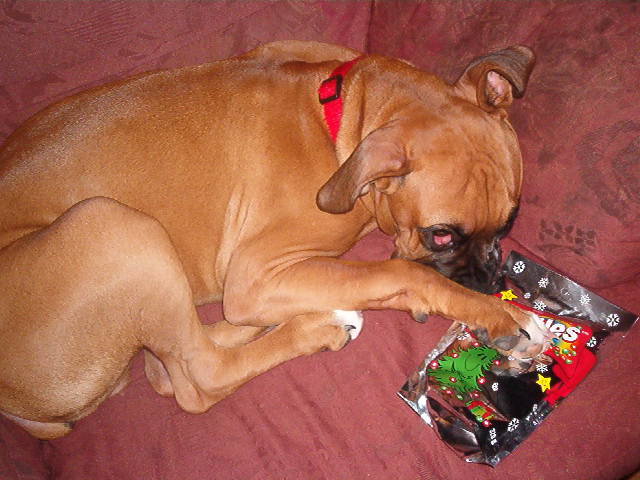 mine ! you no touch my Skittles