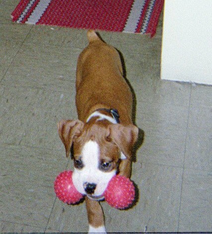 Mine!