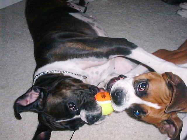 Mine!