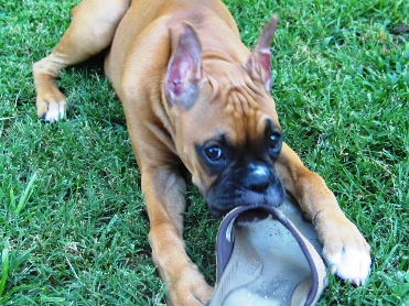 Mine!