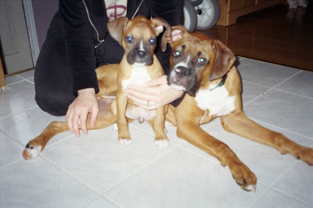 Mini Me