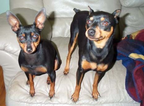 MinPins