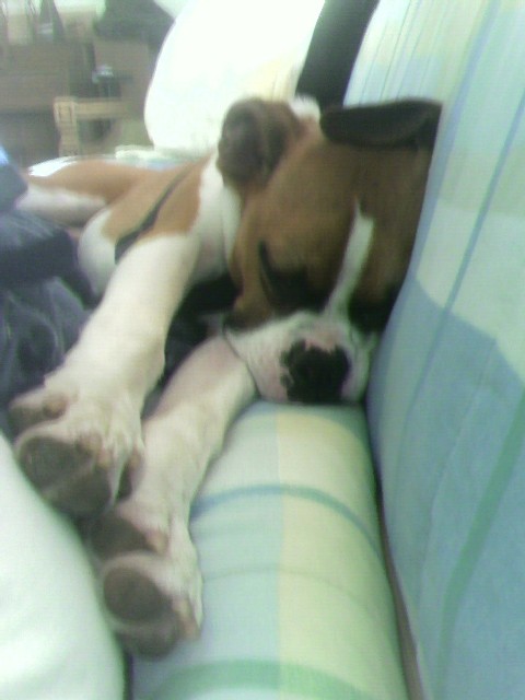 Mira Sleepin