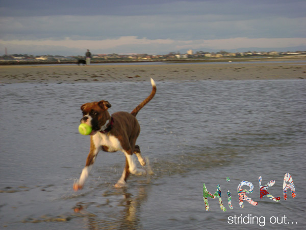 Mirka, striding out at the beach (15 weeks)