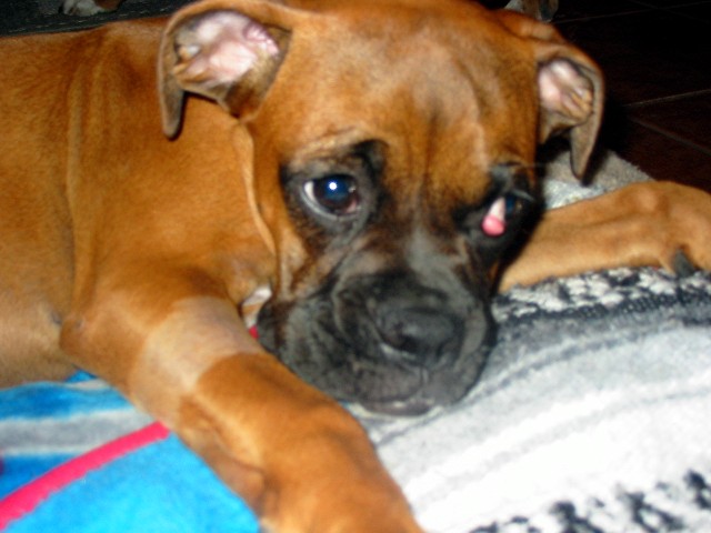 Miss Bea