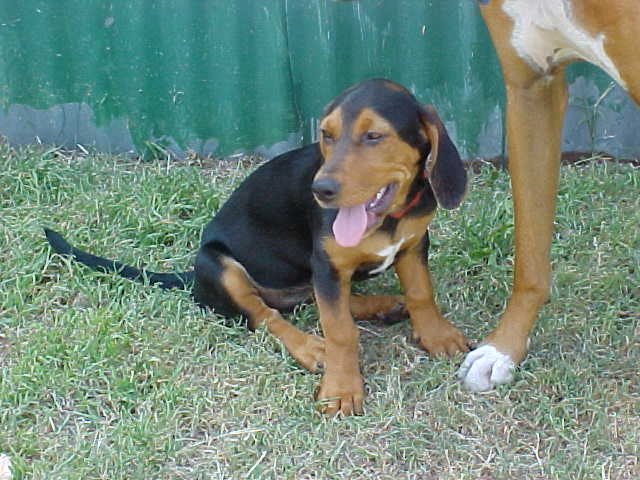 Miss Emma