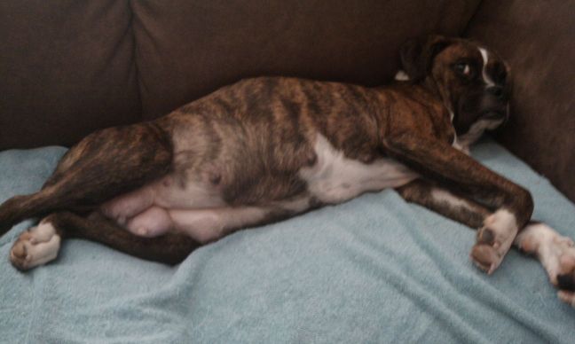 Miss Gracie