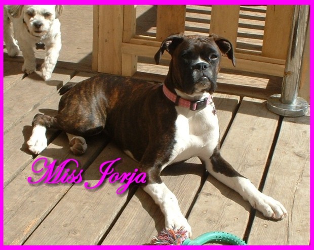 Miss Jorja