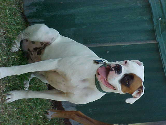 Miss Lillie
