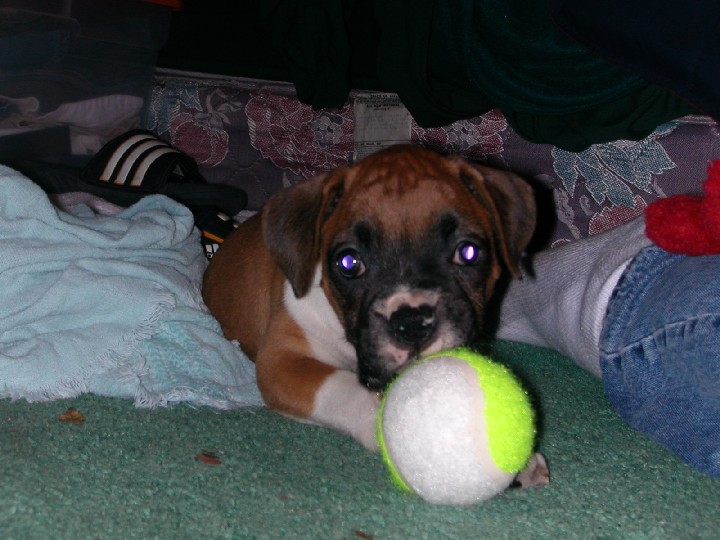 Miss Mia