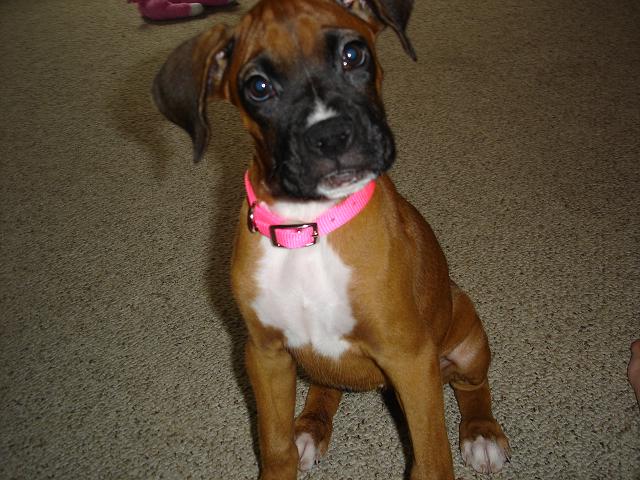 Miss Mia