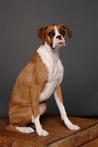 Miss Murphy's Portrait