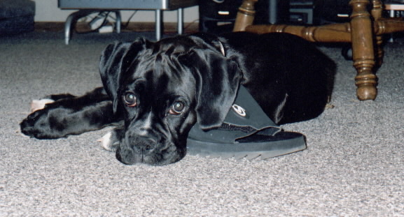 Missing daddy