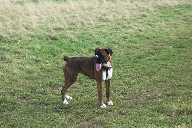 ' MISSY '