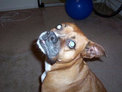 Missy