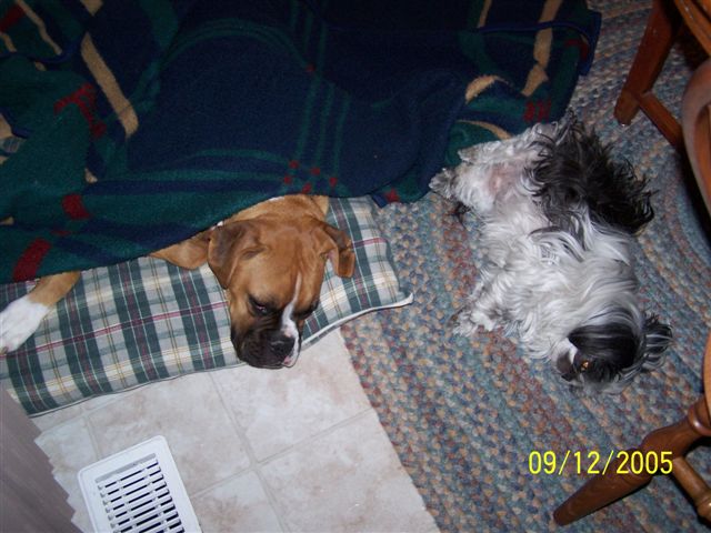 Mitzi and I enjoying an afternoon siesta :)