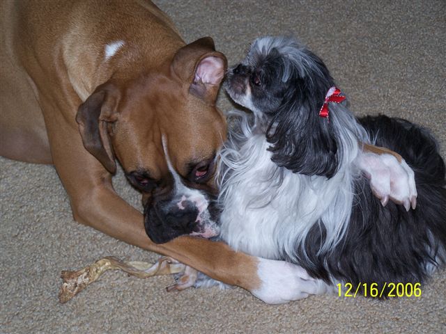 Mitzi N Payton