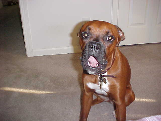 Miz Maggie