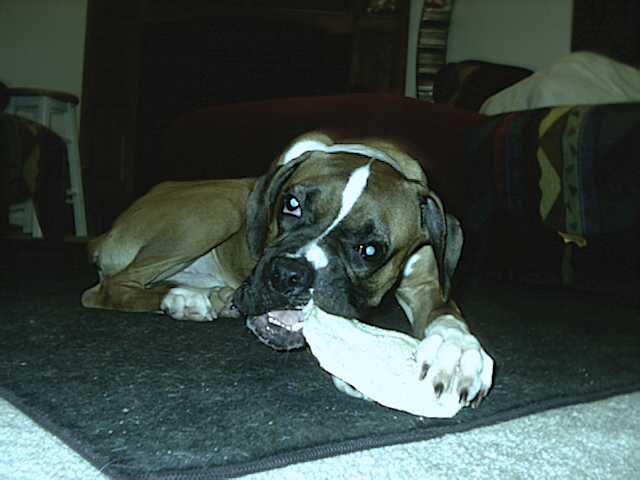 MMM chewy