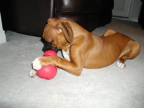 Mmm Kong