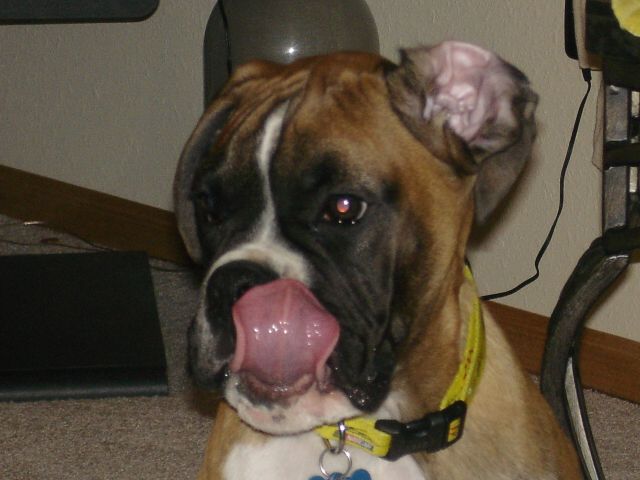 Mmm...that tasted good.