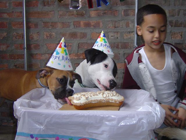 Mmmm cake