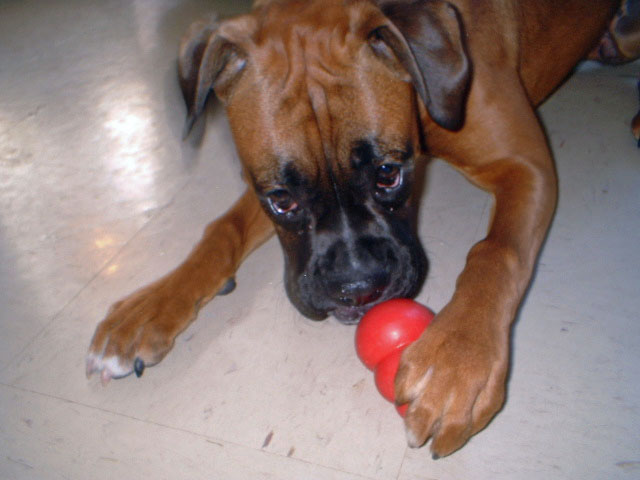 mmmm kong