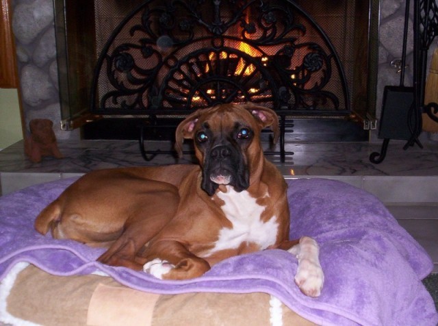 Mmmm, Toasty