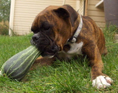 Mmmm...yummy