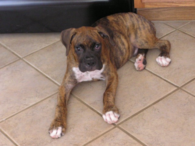 Moab at 4 Months
