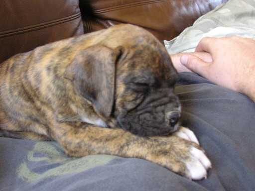 Moab's Naptime