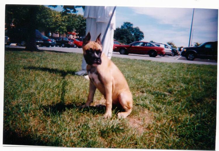 Moe at 14 weeks old