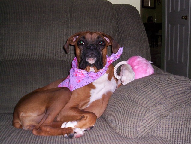 Molley's First Valentine's Day