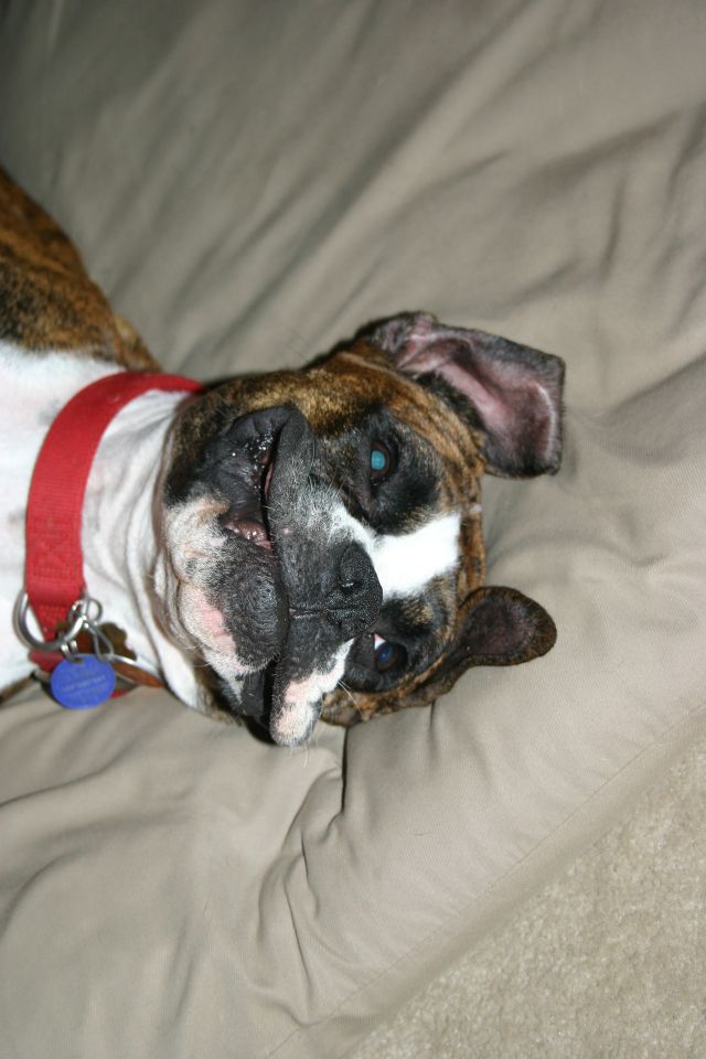 Molly acting silly