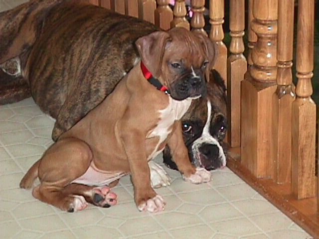 Molly and Tucker