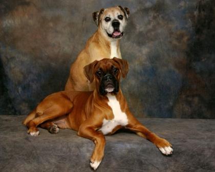 Molly & Bentley