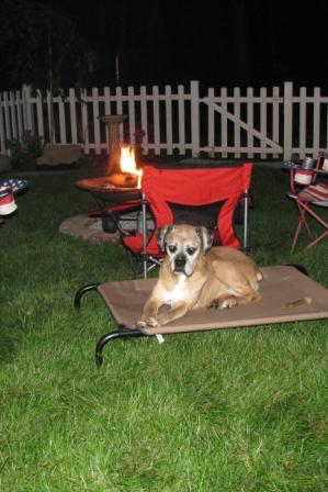 Molly bonfire