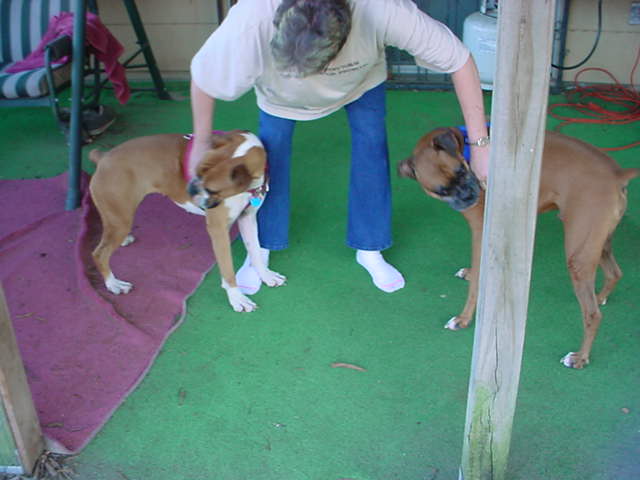 Molly -Mom-Beau