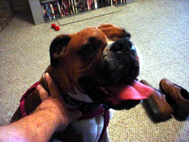 Molly