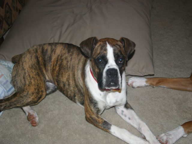 Molly
