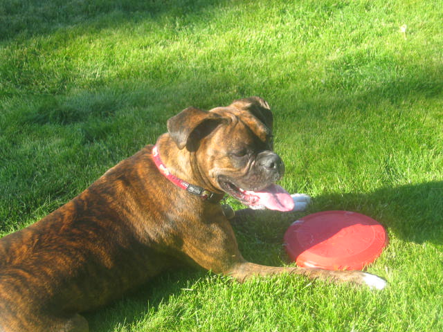 Molly!