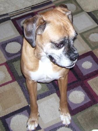 Molly
