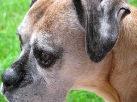 Molly