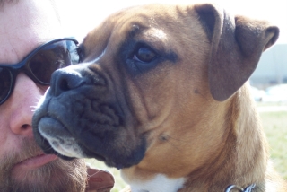 molly2