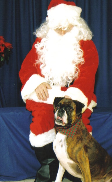 molly's christmas picture 2006