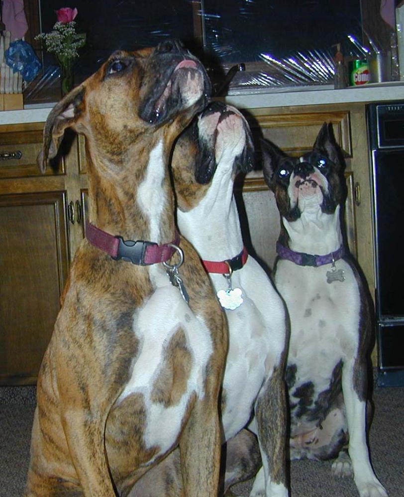 Mom and her kids