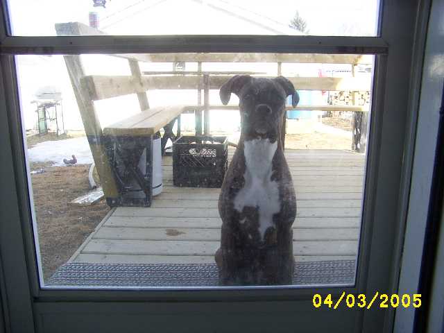 Mom, can I come it now?